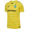 hummel SV Werder Bremen Torwarttrikot 2025/26 5269 - blazing yellow S