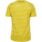 hummel SV Werder Bremen Torwarttrikot 2025/26 5269 - blazing yellow S