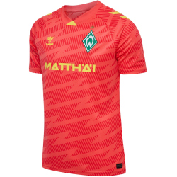 hummel SV Werder Bremen Torwarttrikot 2025/26 3436 - hot...
