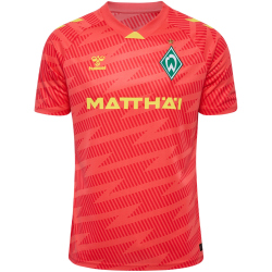 hummel SV Werder Bremen Torwarttrikot 2025/26 3436 - hot...
