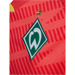 hummel SV Werder Bremen Torwarttrikot 2025/26 3436 - hot...