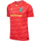 hummel SV Werder Bremen Torwarttrikot 2025/26 3436 - hot coral S