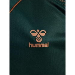 hummel SV Werder Bremen Ausweichtrikot 2025/26 Kinder...