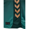 hummel SV Werder Bremen Ausweichtrikot 2025/26 Kinder 6108 - scarab 116