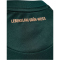 hummel SV Werder Bremen Ausweichtrikot 2025/26 Kinder 6108 - scarab 116