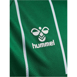 hummel SV Werder Bremen Heimtrikot 2025/26 Kinder 6801 -...