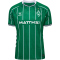 hummel SV Werder Bremen Heimtrikot 2025/26 Kinder 6801 - abundant green 116