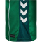 hummel SV Werder Bremen Heimtrikot 2025/26 6801 - abundant green XS