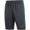 JAKO Active Trainingsshorts Herren anthrazit/türkis M