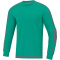 JAKO Striker 2.0 langarm Torwarttrikot t&uuml;rkis/anthrazit 116