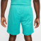NIKE Sportswear Dri-FIT Mesh Shorts Herren 345 - dusty cactus L