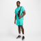 NIKE Sportswear Dri-FIT Mesh Shorts Herren 345 - dusty cactus L