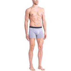 2er Pack REPLAY Boxershorts Style 02 Herren grey...