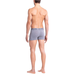 2er Pack REPLAY Boxershorts Style 03 gestreift grey melange/castler S