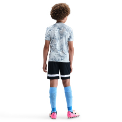 NIKE Tottenham Hotspur Dri-FIT Academy Pro kurzarm Heim Aufwärmshirt Kinder