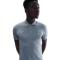 NIKE Tottenham Hotspur The Polo Dri-FIT Poloshirt Herren
