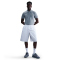 NIKE Tottenham Hotspur The Polo Dri-FIT Poloshirt Herren