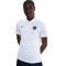 NIKE Paris Saint-Germain The Polo Dri-FIT Poloshirt Herren