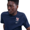 NIKE Frankreich T-Shirt Herren
