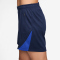 NIKE Paris Saint-Germain Strike Dri-FIT Knit Shorts Damen