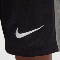 NIKE FC Chelsea London Dri-FIT Stadium Torwartshorts Kinder
