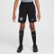 NIKE FC Chelsea London Dri-FIT Stadium Torwartshorts Kinder