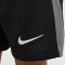NIKE Paris Saint-Germain Dri-FIT Stadium Torwartshorts Kinder