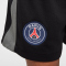 NIKE Paris Saint-Germain Dri-FIT Stadium Torwartshorts Kinder