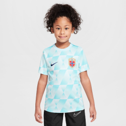 NIKE Norwegen Academy Pro Dri-FIT kurzarm Aufwärmshirt Kinder