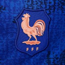 NIKE Frankreich Academy Pro Dri-FIT kurzarm Aufwärmshirt Kinder