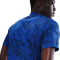 NIKE Frankreich Academy Pro Dri-FIT kurzarm Aufwärmshirt Herren