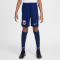NIKE Norwegen Dri-FIT Stadium Heimshorts 2025/26 Kinder