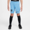 NIKE Niederlande Dri-FIT Stadium Auswärtsshorts 2025/26 Kinder