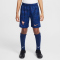 NIKE Frankreich Dri-FIT Stadium Heimshorts 2025/26 Kinder