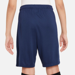 NIKE Paris Saint-Germain Academy Pro Dri-FIT Shorts Kinder