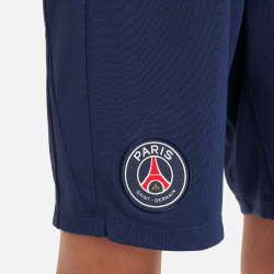 NIKE Paris Saint-Germain Academy Pro Dri-FIT Shorts Kinder