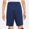 NIKE Paris Saint-Germain Academy Pro Dri-FIT Shorts Kinder