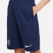 NIKE Paris Saint-Germain Academy Pro Dri-FIT Shorts Kinder