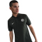 NIKE FC Chelsea London The Polo Dri-FIT Poloshirt Herren 370 - outdoor green/phantom XXL