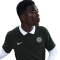 NIKE FC Chelsea London Dri-FIT Primary Statement Poloshirt Herren 371 - outdoor green/phantom S