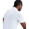 NIKE Paris Saint-Germain The Polo Dri-FIT Poloshirt Herren 103 - white/midnight navy M
