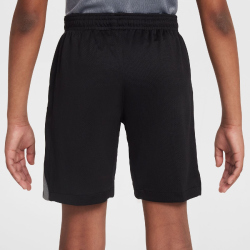 NIKE FC Chelsea London Dri-FIT Stadium Torwartshorts...