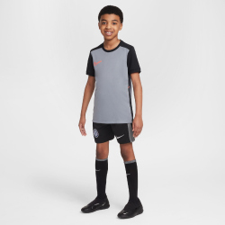 NIKE FC Chelsea London Dri-FIT Stadium Torwartshorts...