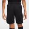 NIKE Paris Saint-Germain Dri-FIT Stadium Torwartshorts Kinder 010 - black/smoke grey/white XS (122-128 cm)