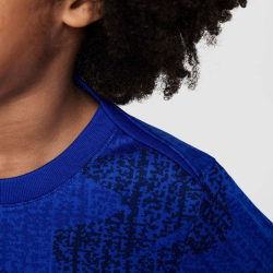 NIKE Frankreich Academy Pro Dri-FIT kurzarm...