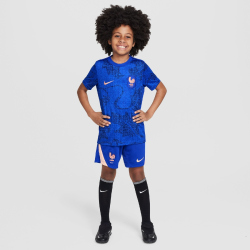 NIKE Frankreich Academy Pro Dri-FIT kurzarm...