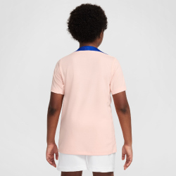 NIKE Frankreich Strike Dri-FIT kurzarm Trainingsshirt...