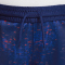 NIKE Frankreich Dri-FIT Stadium Heimshorts 2025/26 Kinder 492 - blue void/lt madder root M (137-147 cm)