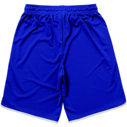 MIKASA Beachvolleyball Trainingsshorts Herren