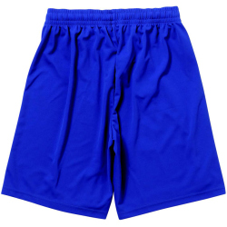 MIKASA Volleyballshorts Herren BL - blue XXS